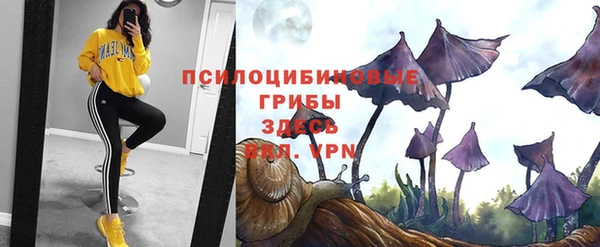 бутират Арсеньев