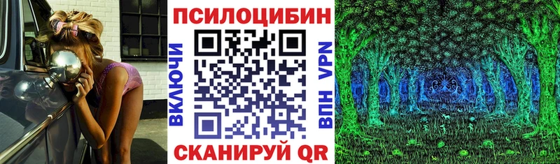 купить наркотики цена  Верхнеуральск  Галлюциногенные грибы Cubensis 